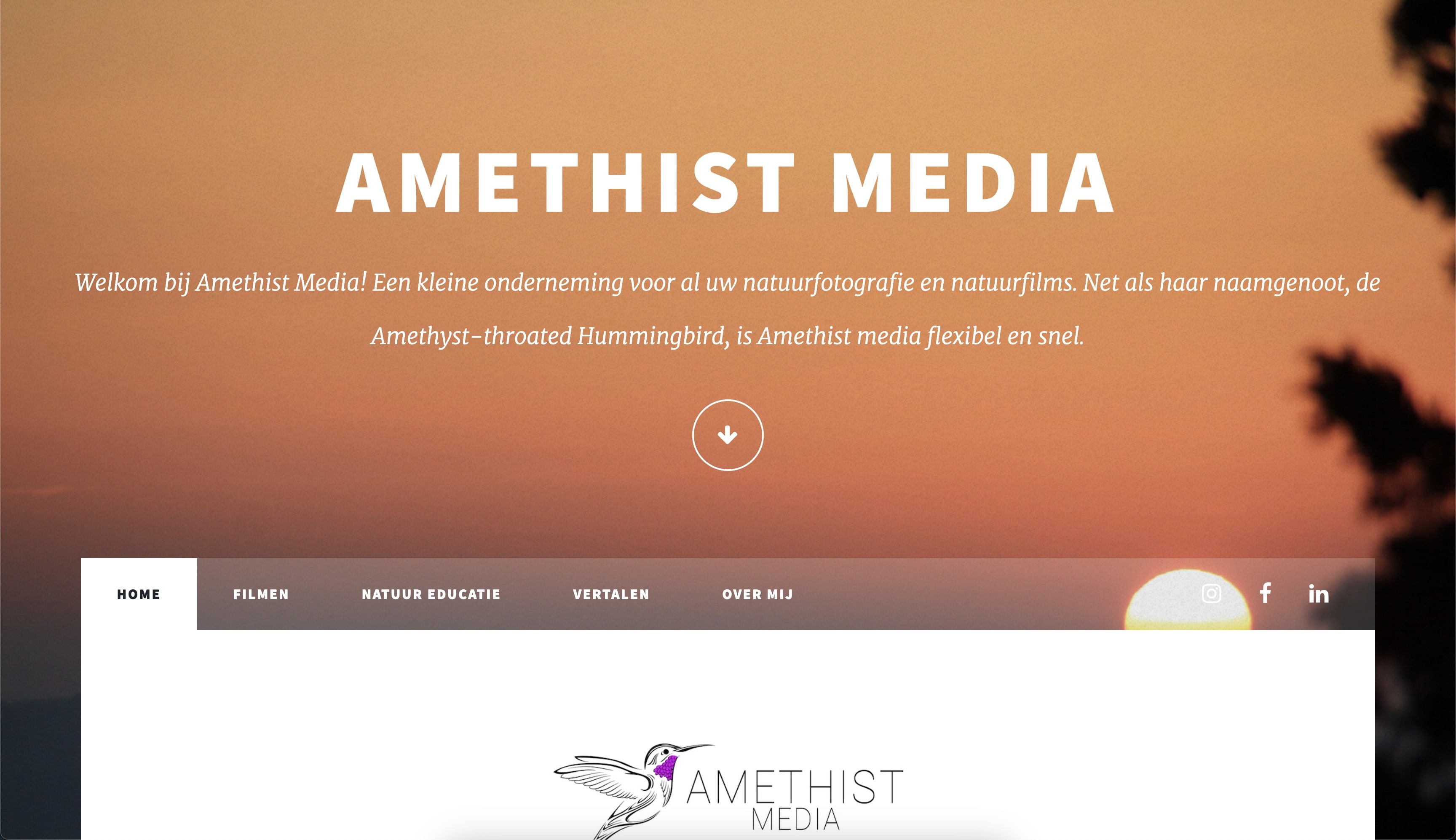 amethistmedia.nl webpage's screenshot